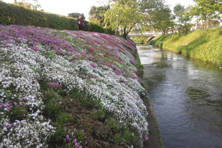 ō2012